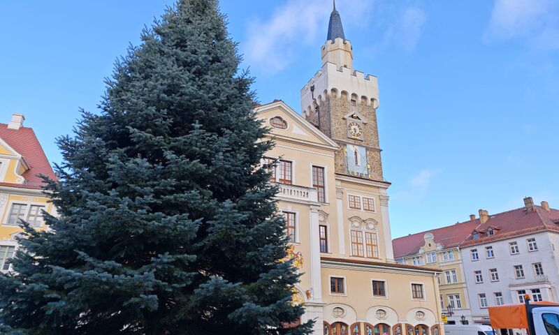 Titelbild Löbau Newsbeitrag - Weihnachtsbaum gesucht!