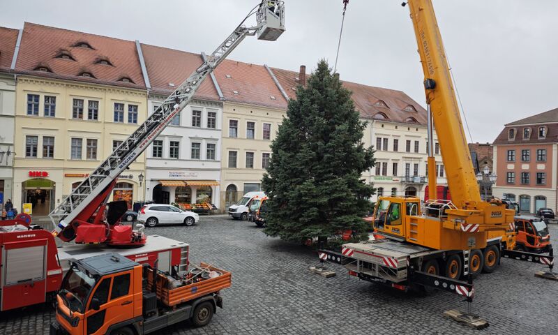 Titelbild Löbau Newsbeitrag - Weihnachtsbaum ist da!